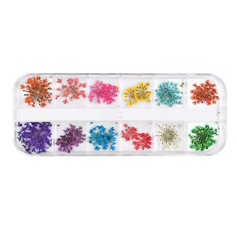 Set de Flores Secas Naturales para Nail Art