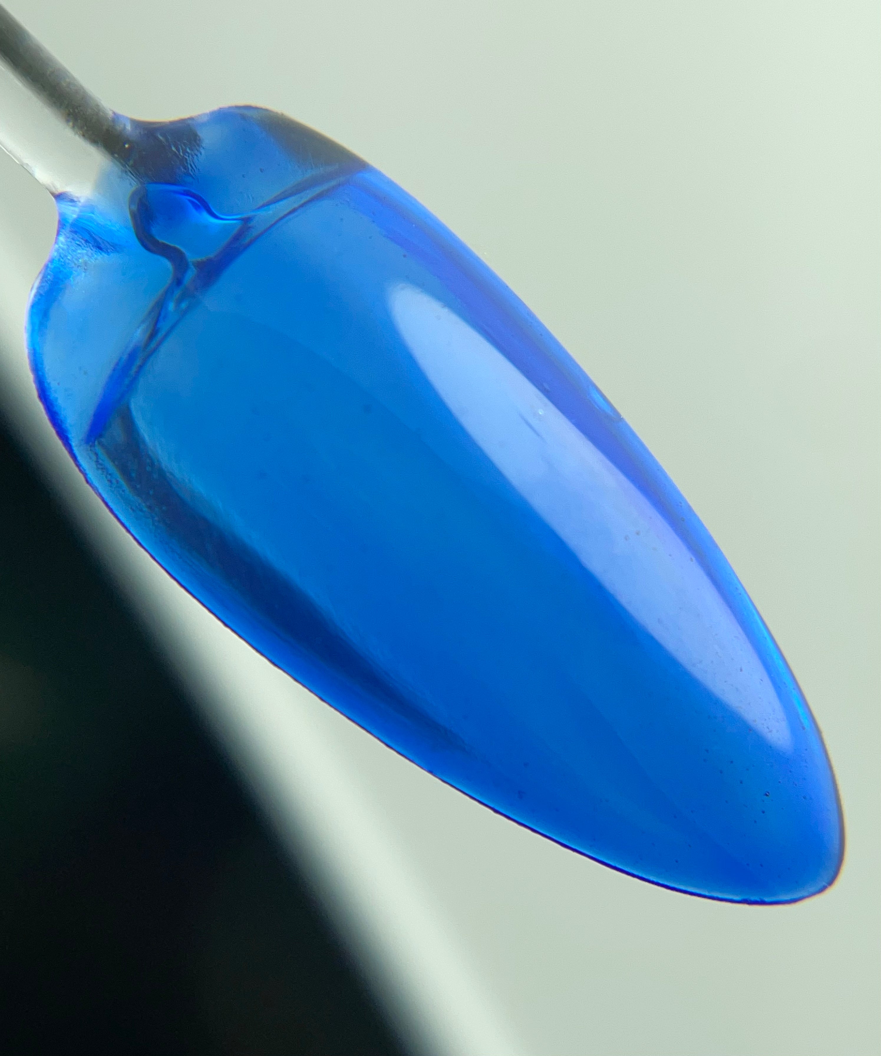 Crystal Jelly 02