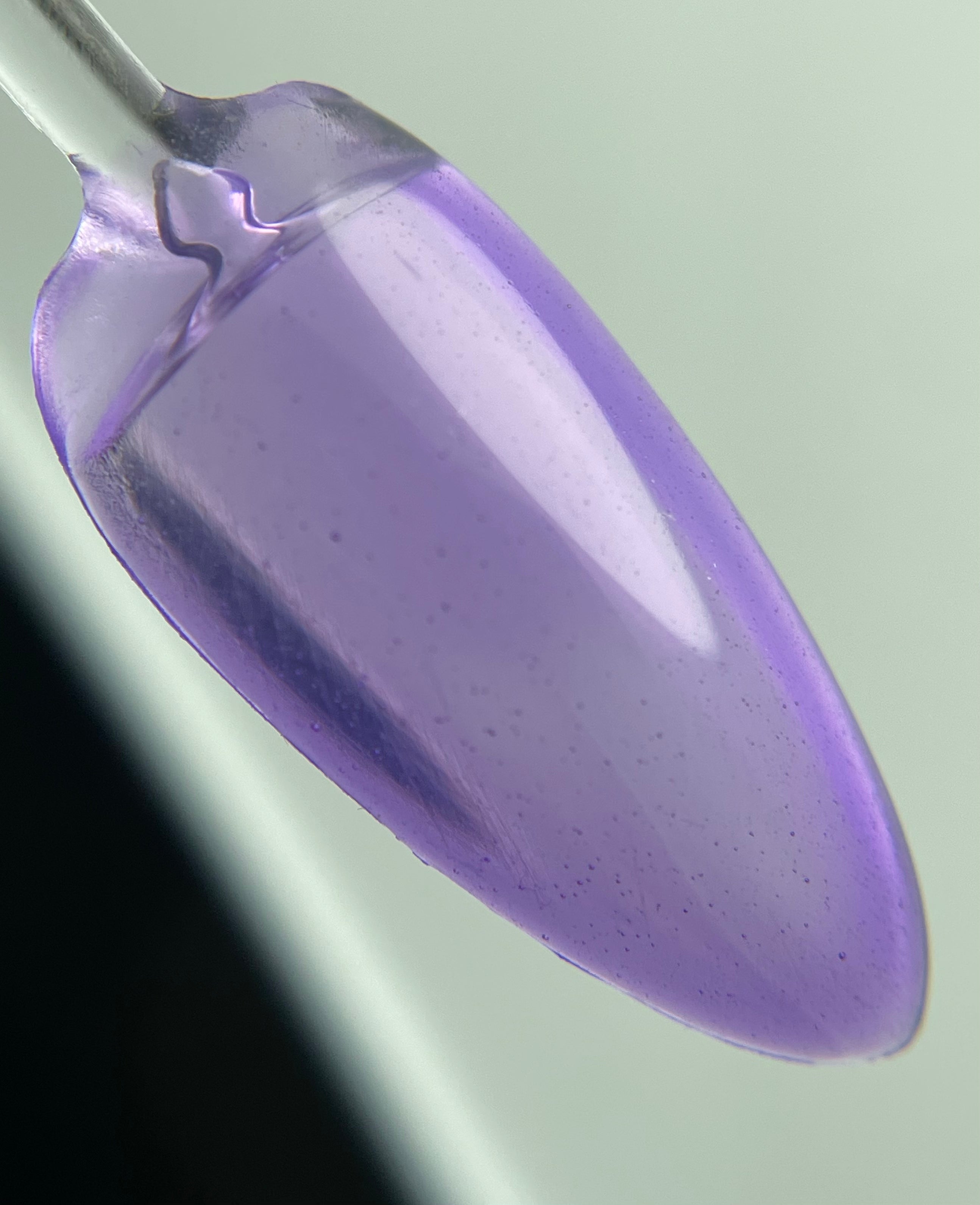 Crystal Jelly 01