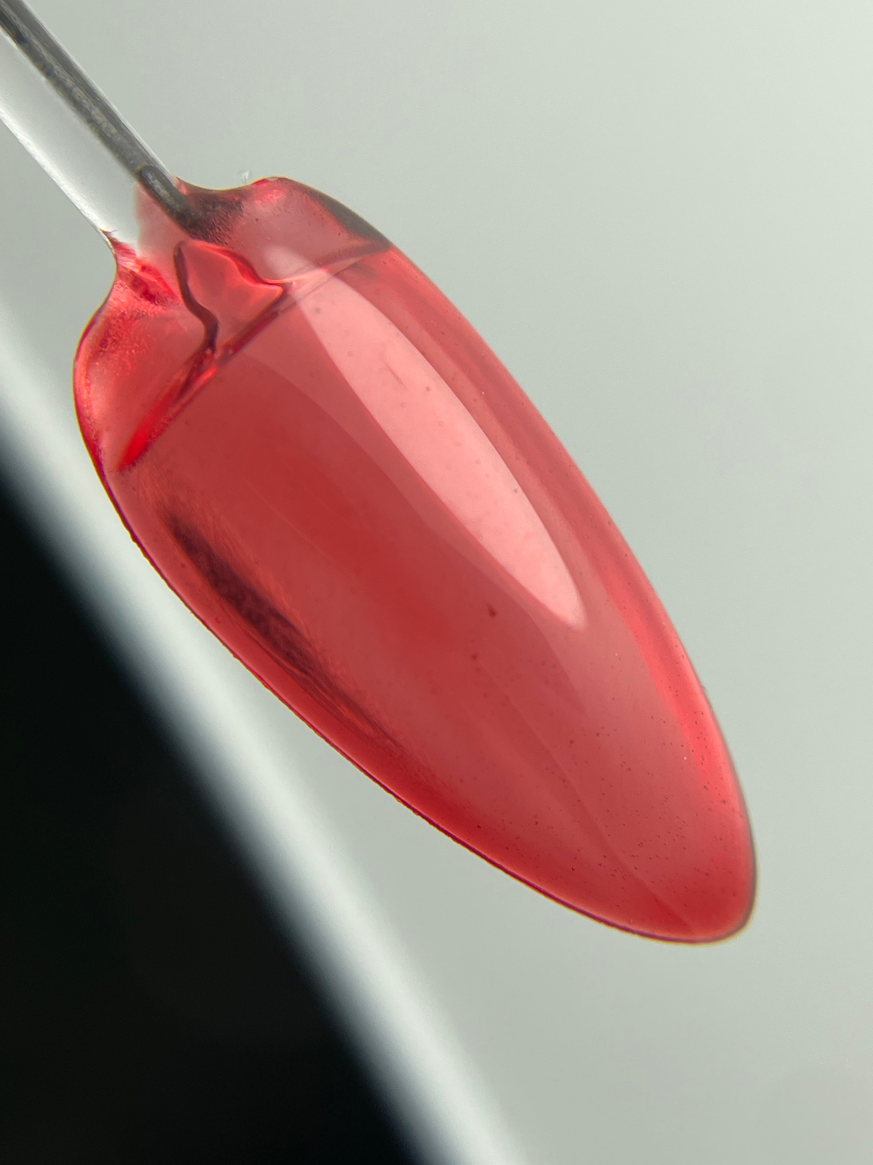 Crystal Jelly 08