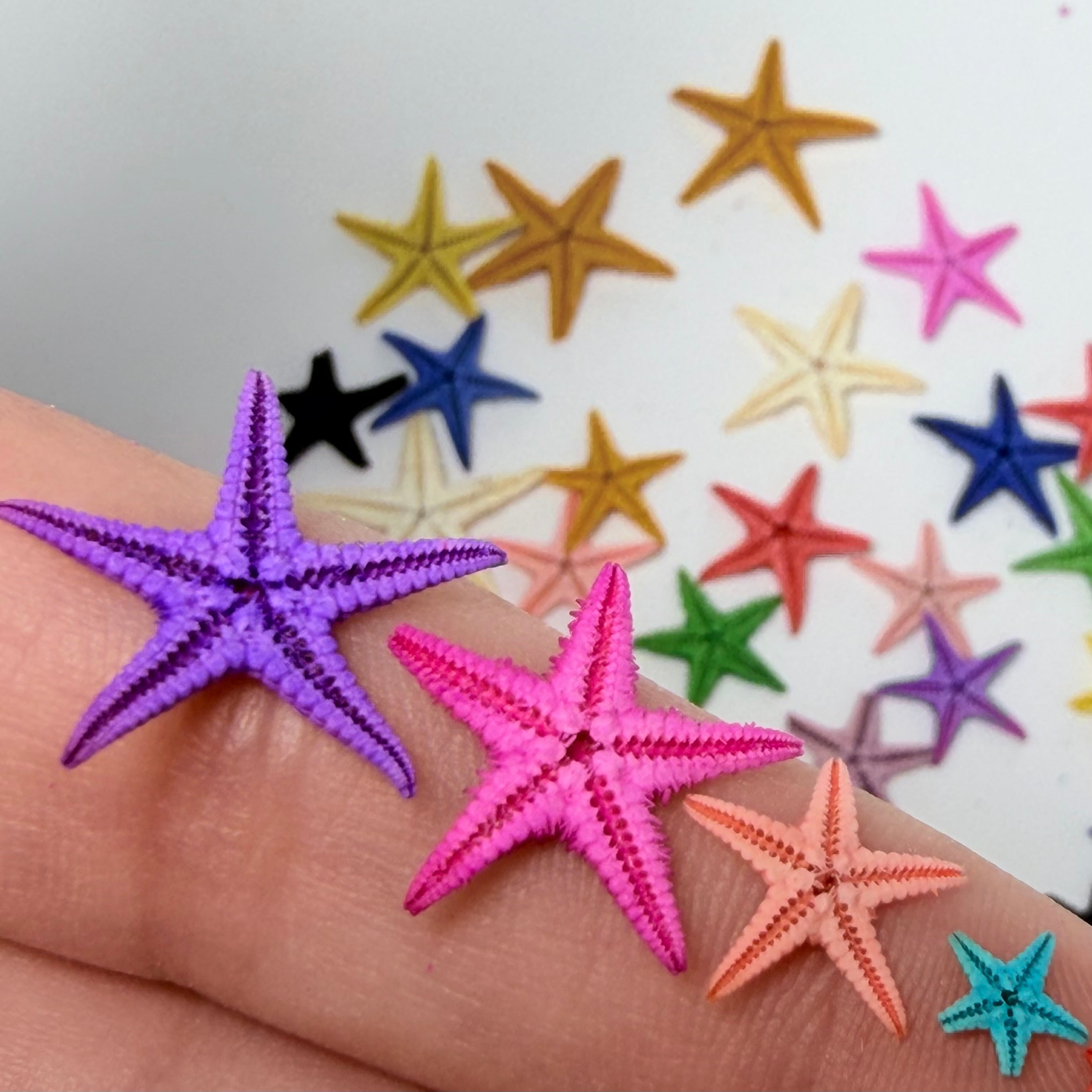Estrellas de Mar para Uñas | 36 pcs