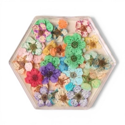 Flores Secas Naturales para Nail Art