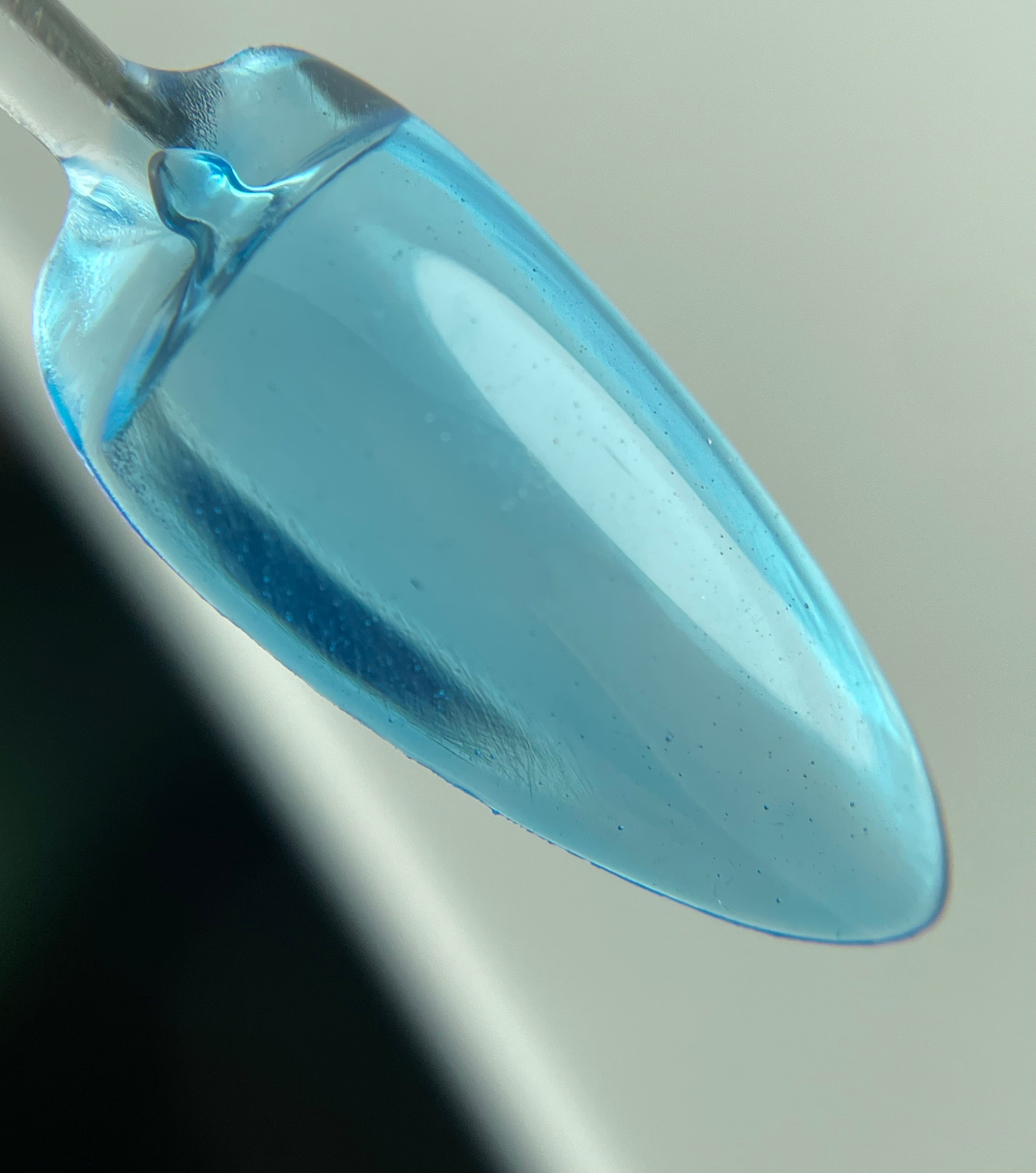 Crystal Jelly 05