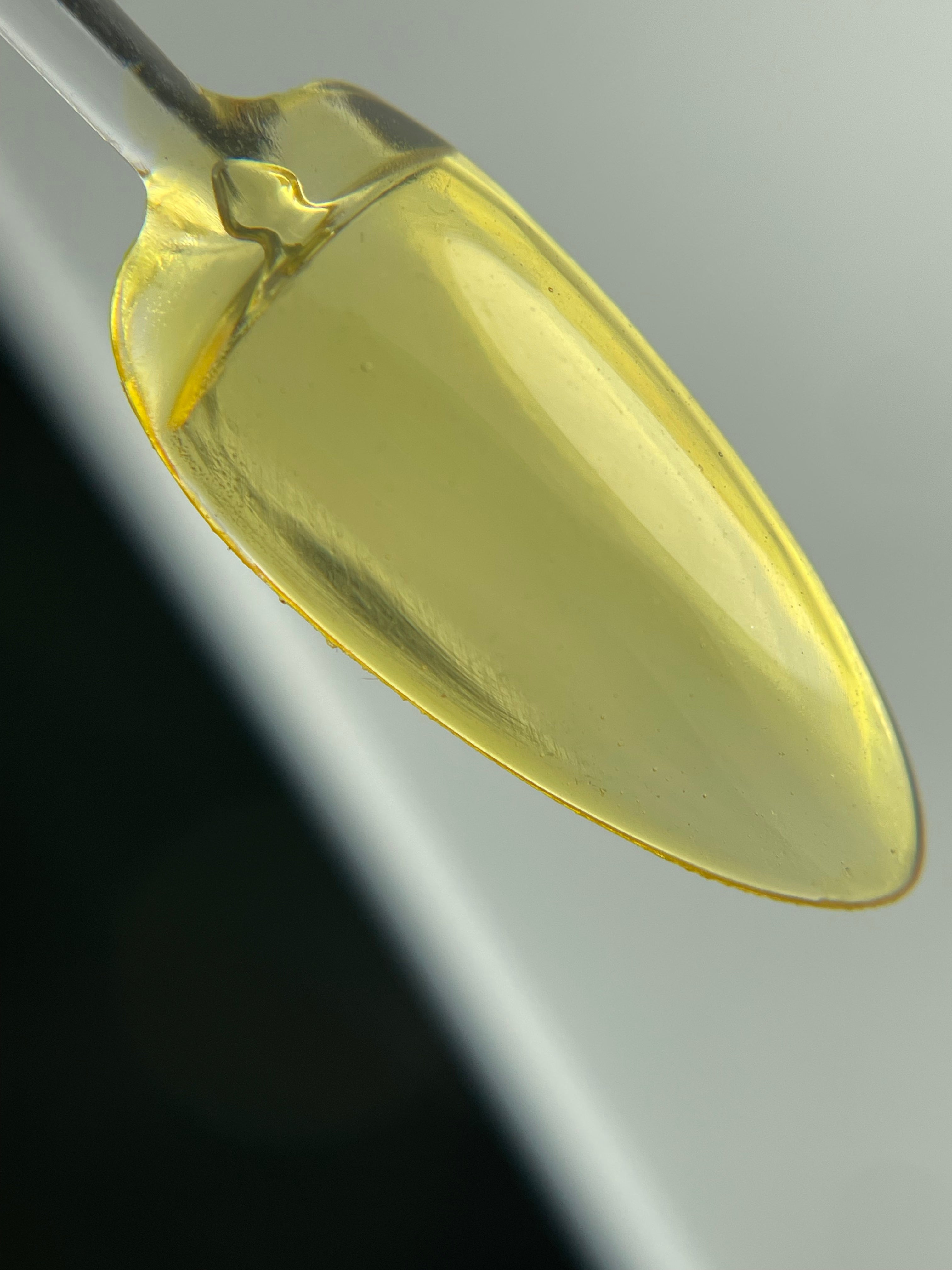 Crystal Jelly 06