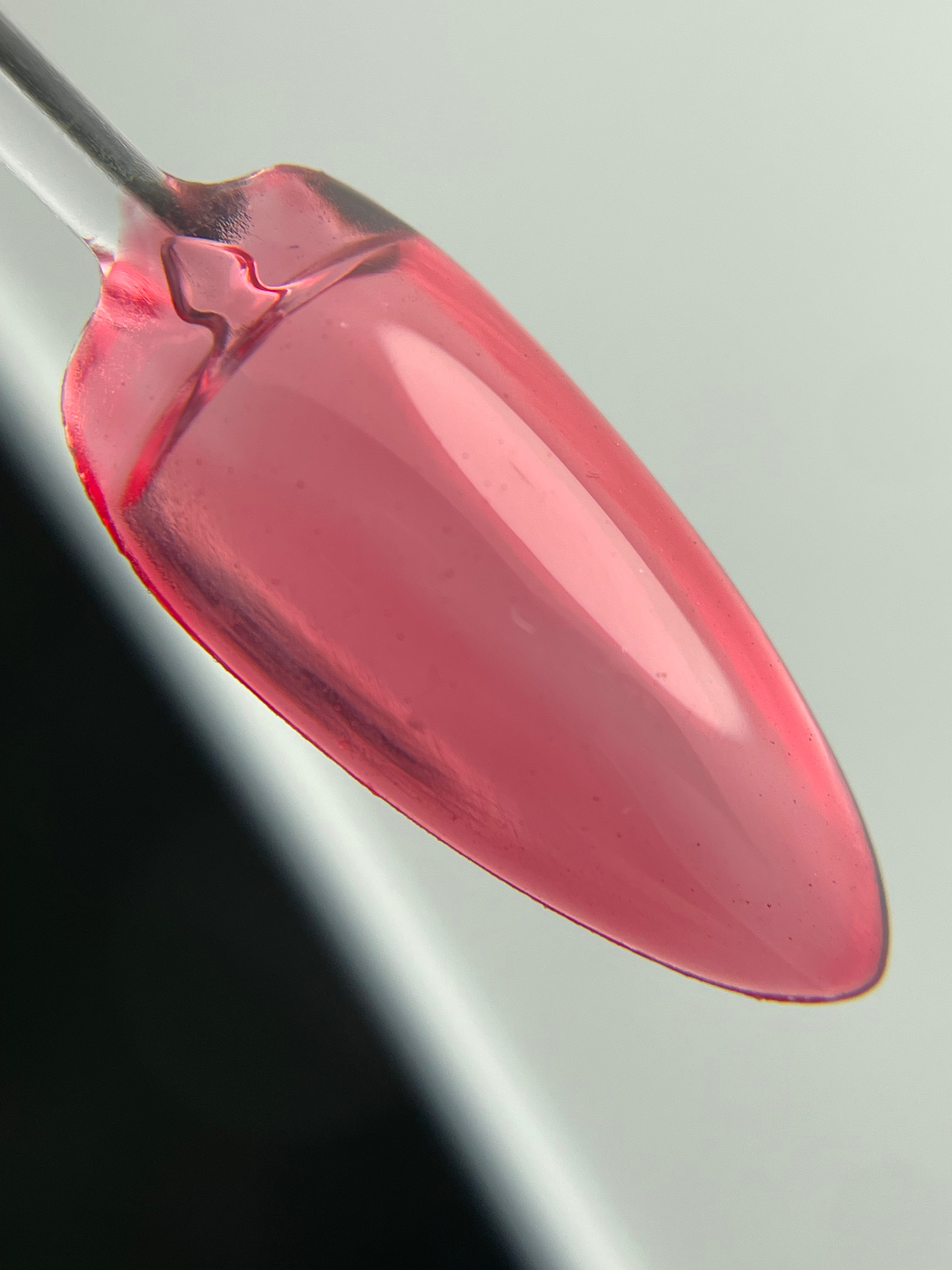 Crystal Jelly 07
