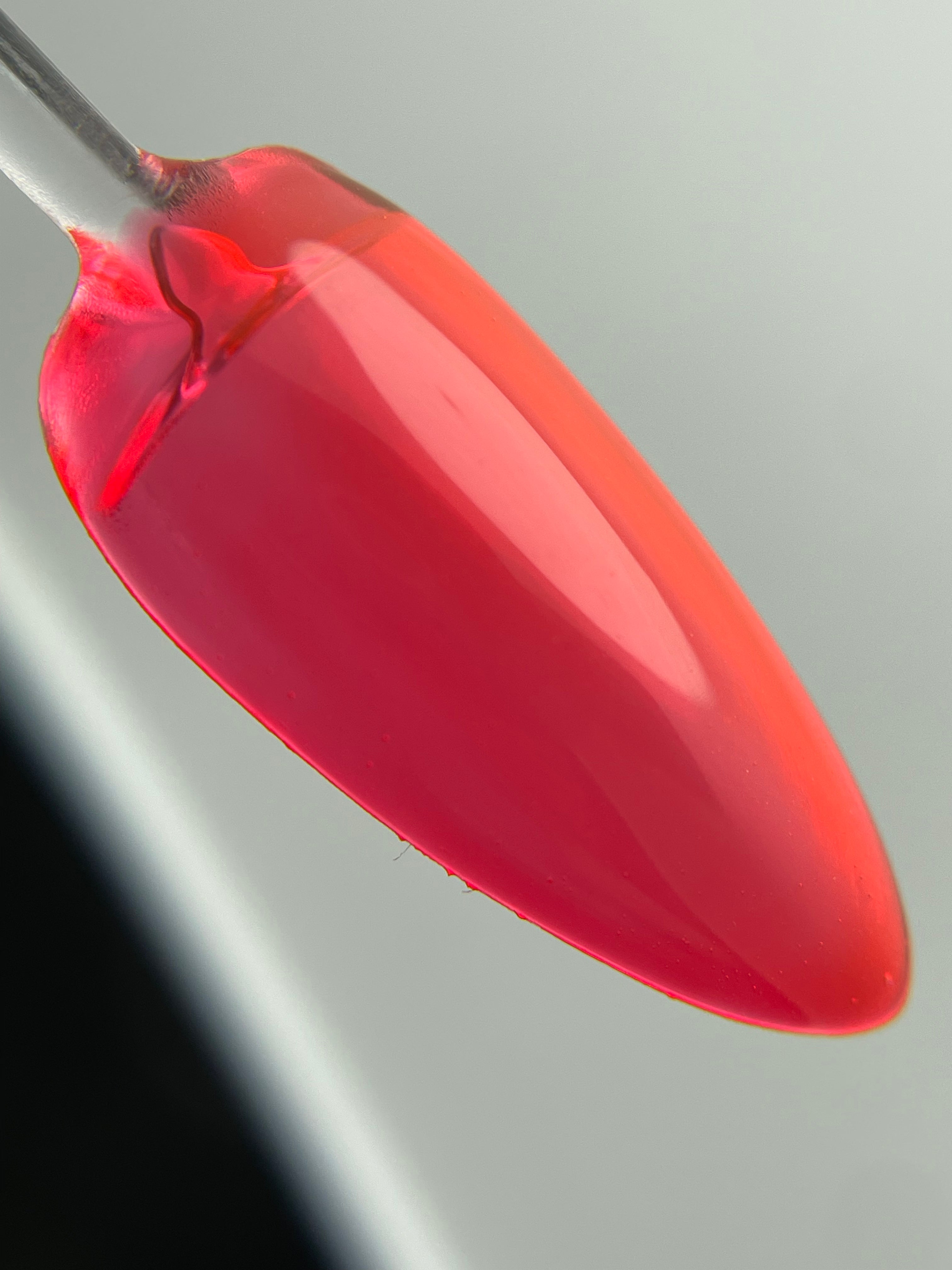 Crystal Jelly 09