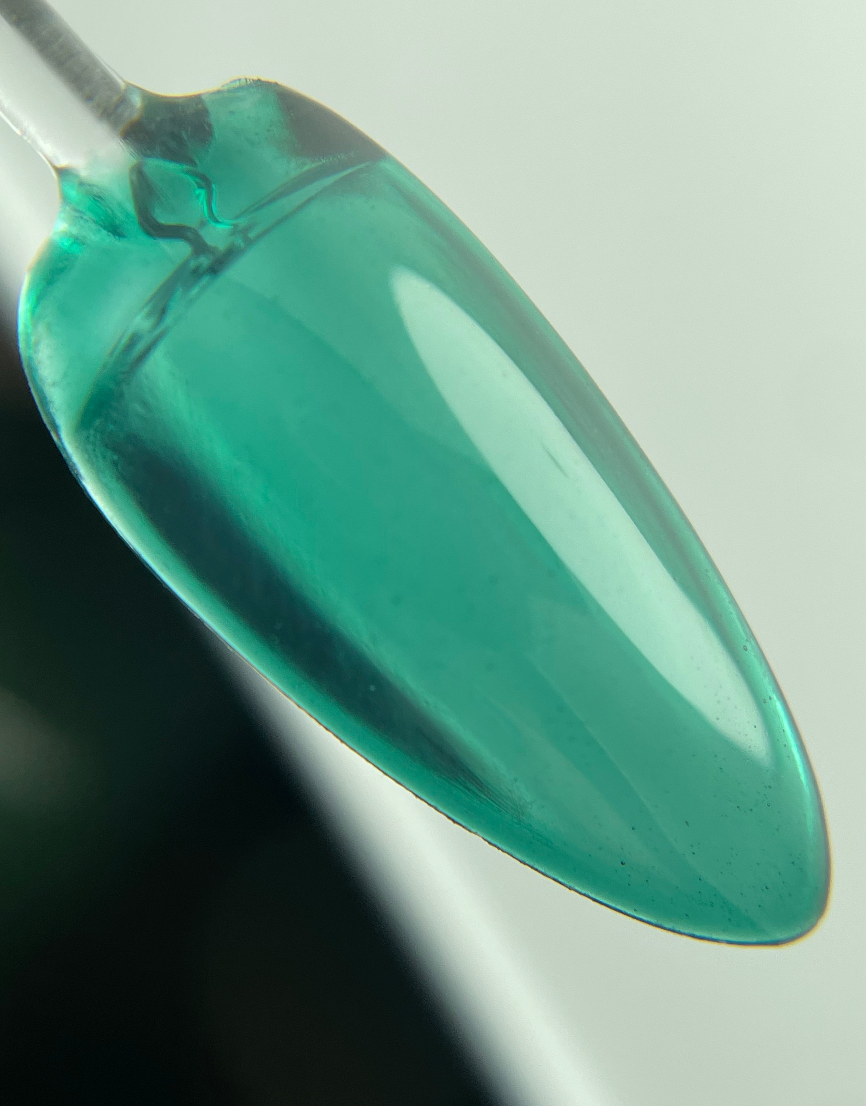 Crystal Jelly 03