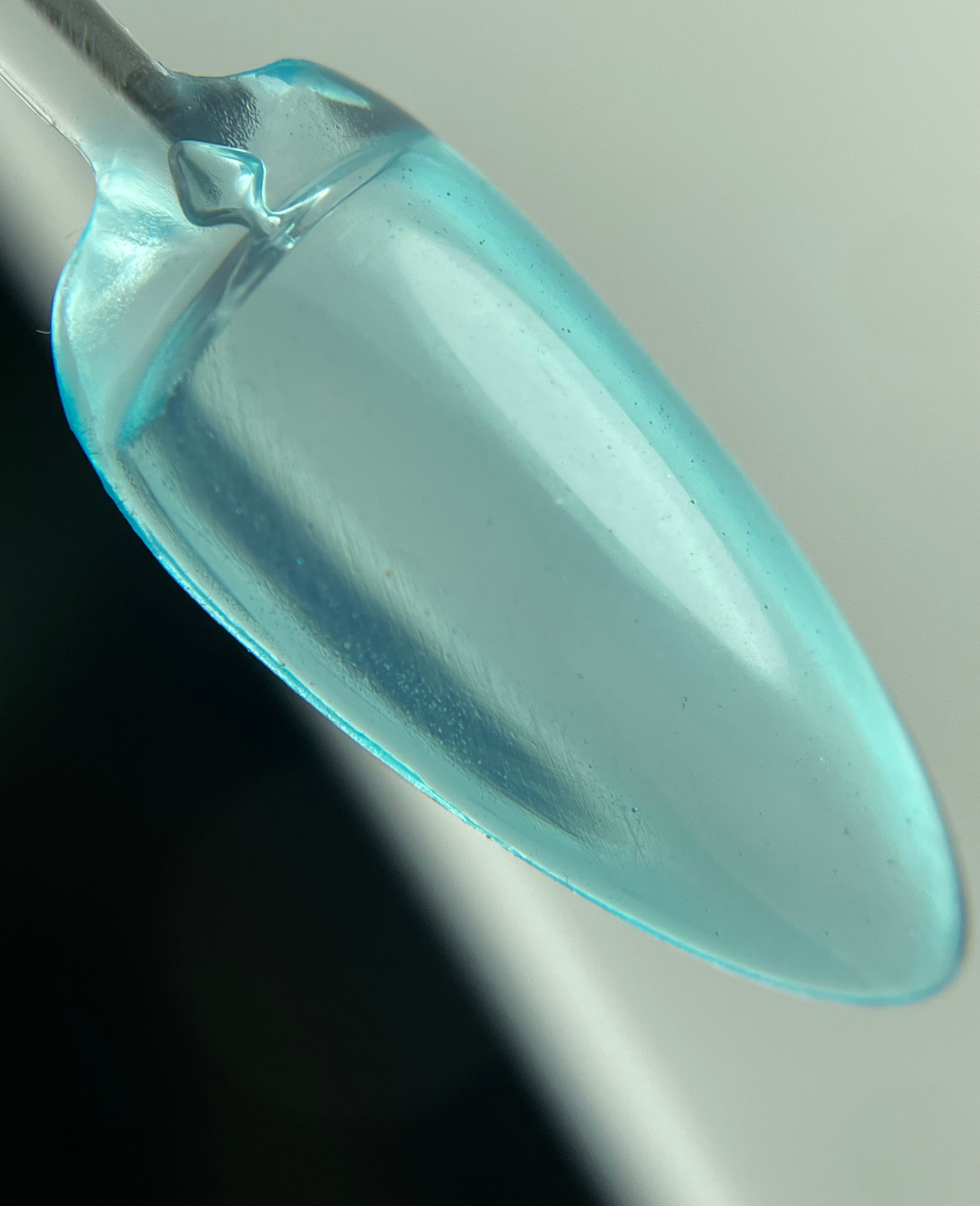 Crystal Jelly 04